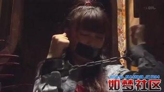 那些被抓的国产大神视频,被捕背后的真相与反思