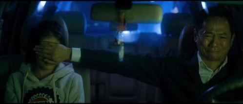 国产乱子乱实视频,揭秘网络迷雾下的真实世界