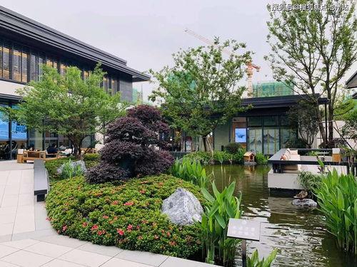 国产折弯中心视频讲解,视频教程深度解读