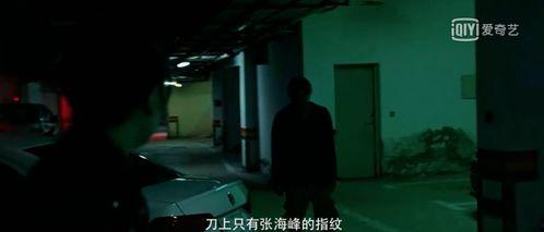 国产第一集视频,揭开神秘面纱，探寻民族崛起之路