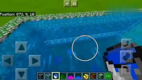 国产鳄鱼养殖视频播放,揭秘生态养殖新篇章