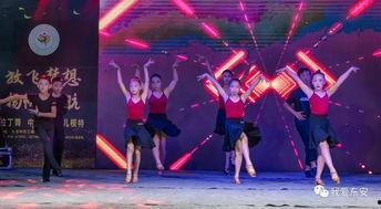 国产舞蹈学院视频,国产舞蹈学院风采展示