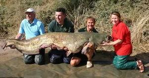 国产超级大鲶鱼视频