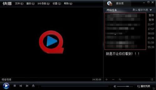 国产特殊小视频播放器,揭秘特殊小视频播放器的魅力与功能