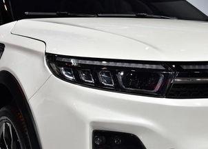 国产车起名视频