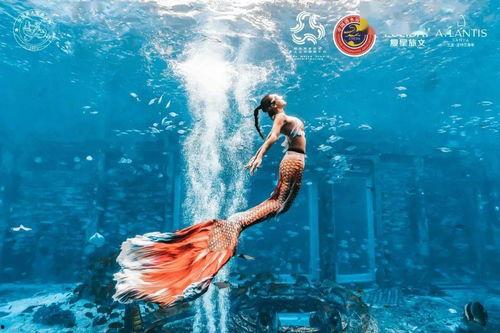 美人鱼国产最新视频,国产美人鱼最新视频揭秘奇幻世界