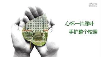 国产高分公益广告视频