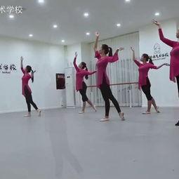 国产校园舞蹈视频大全,国产舞蹈视频精选集锦