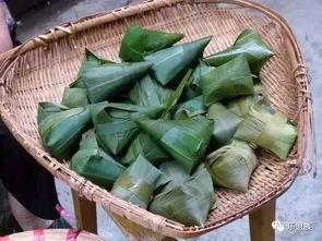 江苏国产粽子故事视频播放