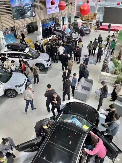 东风国产4s店直播视频