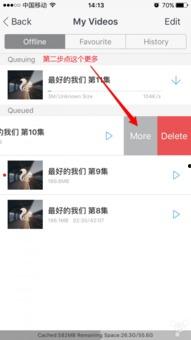 支持国产苹果视频的软件,畅享苹果视频盛宴——支持国产苹果视频软件推荐