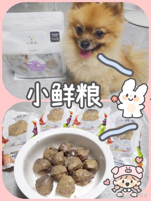 国产疯狂的小狗粮视频