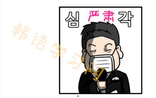 骂人国产动漫视频,网络暴力下的动漫圈众生相